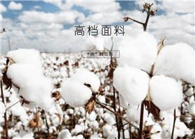 门徒娱乐品牌短袖T恤使用的面料