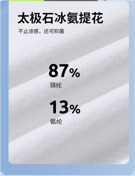 太极石功能门徒娱乐T恤5