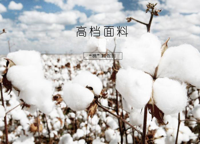 门徒娱乐订制运动短裤使用的面料